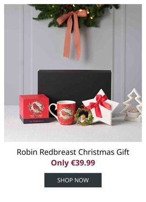 Robin Redbreast Christmas Gift